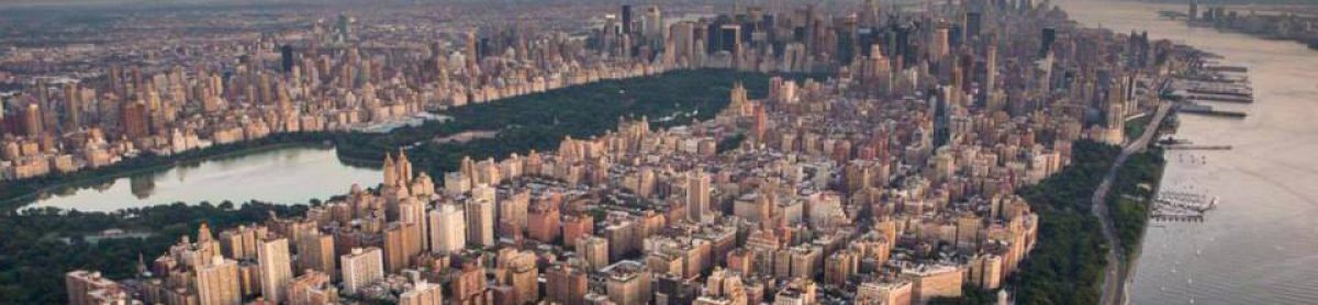 A Methodical Manhattan Mom